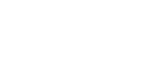 palmettobaycarpetcleaning.com